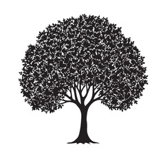 Dense silhouette of a leafy tree with a rounded canopy on a white background dense foliage