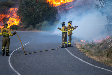 A team of firefighters battling a large forest fire with a water hose.