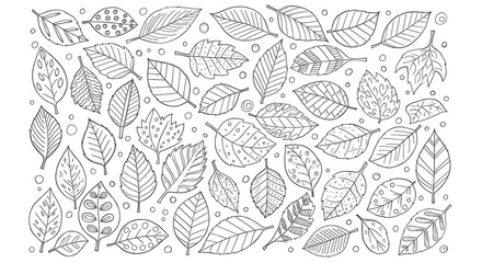 Detailed leaf illustration showcasing various shapes and patterns in a clean, minimalist style ideal for botanical