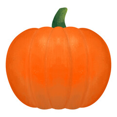 Pumpkin Illustration