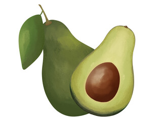 Avocado Illustrations