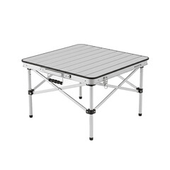 Portable Folding Camping Table with Carry Handle on Green Background