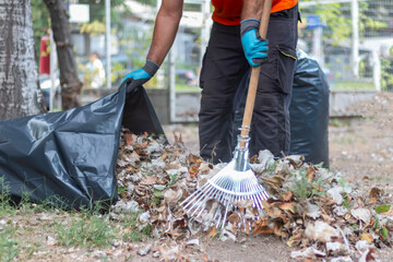 Professional gardener working at camping site collects fallen leaves with rake. Spring cleaning in the park. Raking dry leaves.
