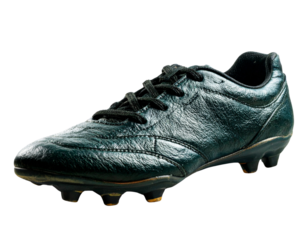 Red apple with a glowing dollar sign on its surface