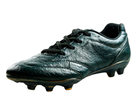 Red apple with a glowing dollar sign on its surface