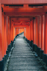 View Fushimi Inari Shrine Torii's in Kyoto, Japan