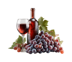 Wine tasting event with grapes vineyard food rustic isolated on transparent background, png