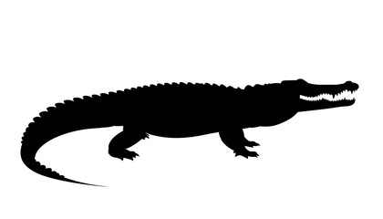 Fototapeta premium A detailed silhouette of a large crocodile, showcasing its distinct features and profile view.