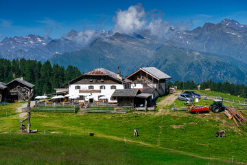 Rundwanderung auf der Hirzer Alm South Tyrol