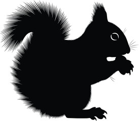 Silhouette of a squirrel eating nuts against a stark vector