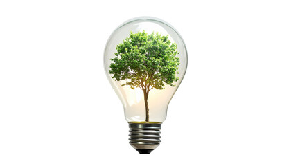  Floating Miniature Tree Inside Lightbulb on Plain isolated on transparent background