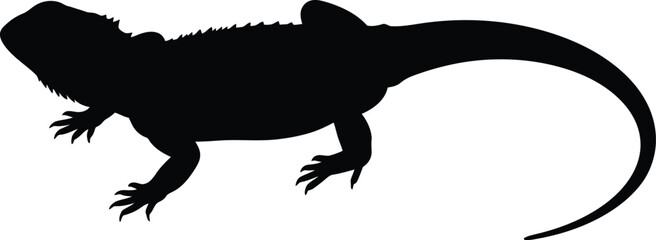 Vintage bird cages collection ornately designed metal aviary silhouettes vector