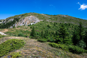 Summer landscape of the Accursed Mountains near the Cakor Pass, Prokletije Mountains, Montenegro.