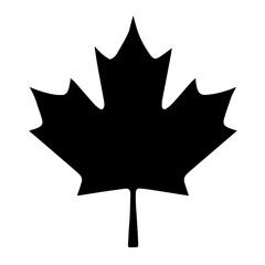 Black and white vector silhouette of a maple leaf on a white background