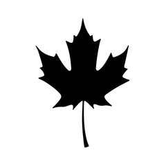 Black and white vector silhouette of a maple leaf on a white background