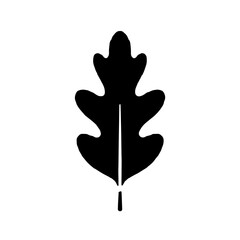 Obraz premium Black and white vector silhouette of a maple leaf on a white background