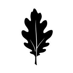 Obraz premium Black and white vector silhouette of a maple leaf on a white background