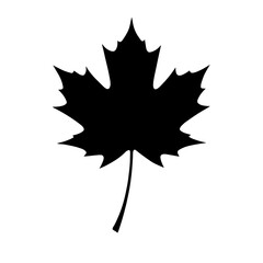 Black and white vector silhouette of a maple leaf on a white background