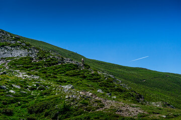 HGiking Through the Hirzer Alm South Tyrol