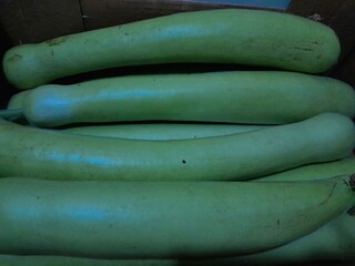 Long bottle gourd vegetable. Chinese long calabash gound raw vegetable food. 
