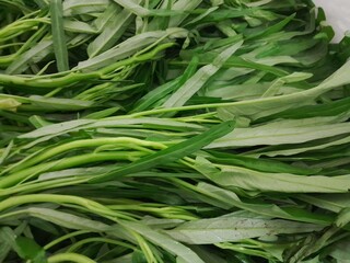 Water spinach green leaves vegetable. Chinese spinach healthy vegetable food. Swamp cabbage or...