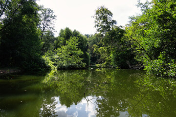 Kleiner Teich im Köllertal nahe Völklingne