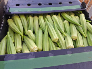 Okra healthy nutritional raw vegetable food. Bhindi or lady's fingers vegetable food. 