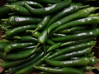 Serrano peppers  green chilli culinary vegetable food. Healthy nutritional raw spice vegetable. 