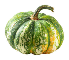 Harvesting fresh green pumpkin farm market food outdoors isolated on transparent background
