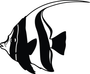 Monkfish illustration elegant marine life aquatic animal black and white design vector