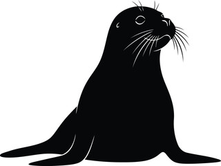 Adorable baby seal pups on beach coastal wildlife nature photography vector