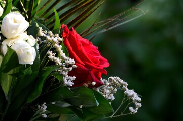 a large red rose in a bouquet