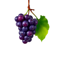 Fototapeta premium Photo of bunch of purple grapes hanging isolated on transparent background