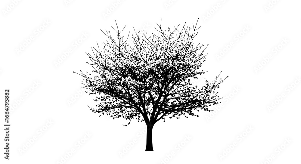 Poster highresolution transparent background tree silhouette isolated vector illustration for design projec