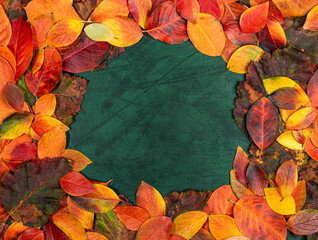Colorful autumn leaves framing dark green background with vibrant hues and textures Copy space