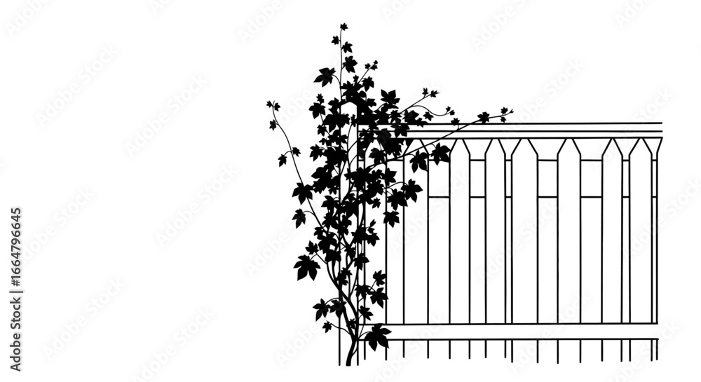 Poster elegant ivy and fence silhouette highresolution transparent background image for design projects