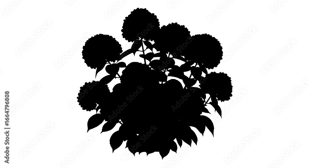 Poster hydrangea silhouette highresolution transparent background png for design projects digital compositi