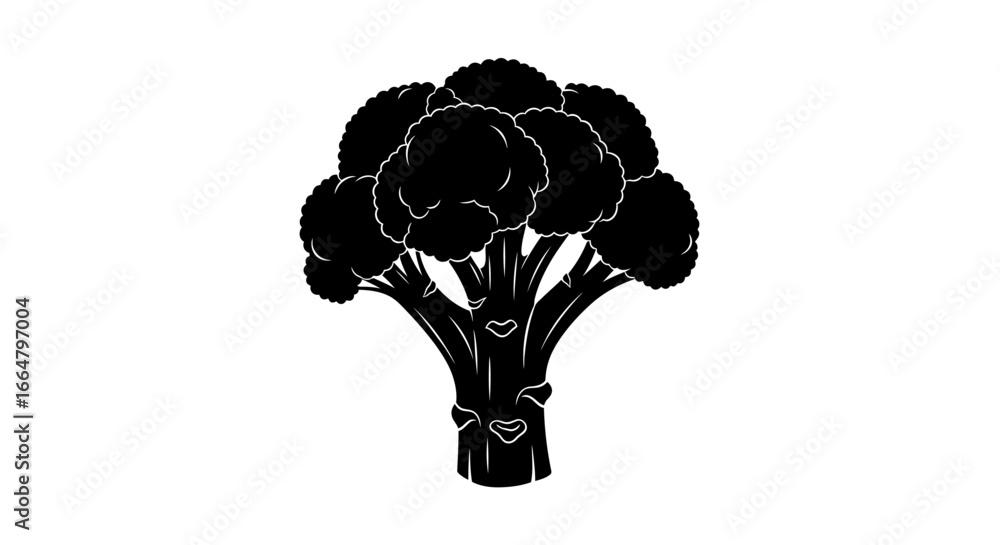 Poster highresolution broccoli silhouette a perfect transparent background vector for culinary designs webs