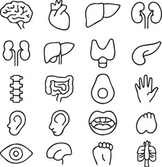 Human organs and body parts icon set, black outline medical symbols collection including brain, heart, liver, kidneys, lungs, stomach, spine, eye, ear, hand, and mouth, isolated on white background
