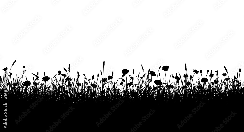 Poster silhouette of wildflowers and grass a highresolution transparent background image for design project