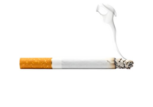 Smoldering Cigarette isolated on white or transparent background. PNG