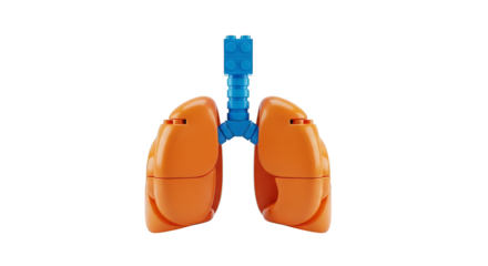 Toy lungs breathe in the pixels