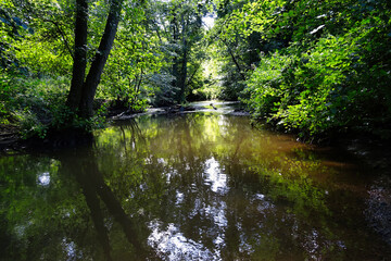 Waldbach im Köllerbachtal bei Völklingen, Regionalverband Saarbrücken, Saarland