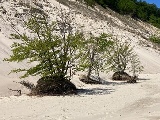 Bilder vom Strand bei Bansin auf der Ostseeinsel Usedom