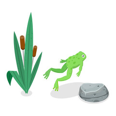 3D Isometric Flat  Set of Cartoon Frogs. Item 2