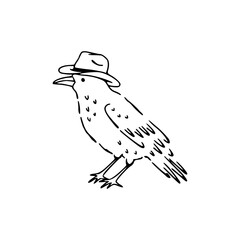 stylish raven wearing a hat line art