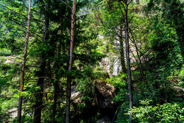 Fototapeta premium Hiking to the Barbianer Waterfalls in South Tyrol 