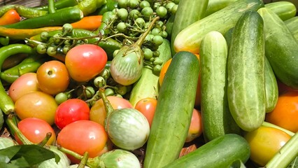 Fresh vegetables for cooking. Vegetables contain dietary fiber that helps cleanse the intestines.