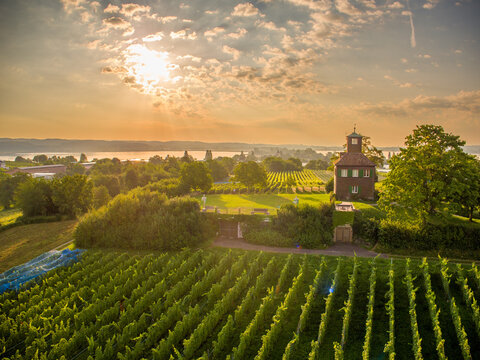 Sommerliche Luftaufnahme der Hochwart auf der Insel Reichenau im warmen Gegenlicht mit Weinreben, gr&uuml;ner Landschaft und Blick auf den Bodensee bei strahlendem Himmelc