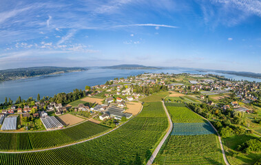 Panorama-Drohnenflug über die Insel Reichenau im Sommer mit Weinreben, Bodensee und idyllischer...